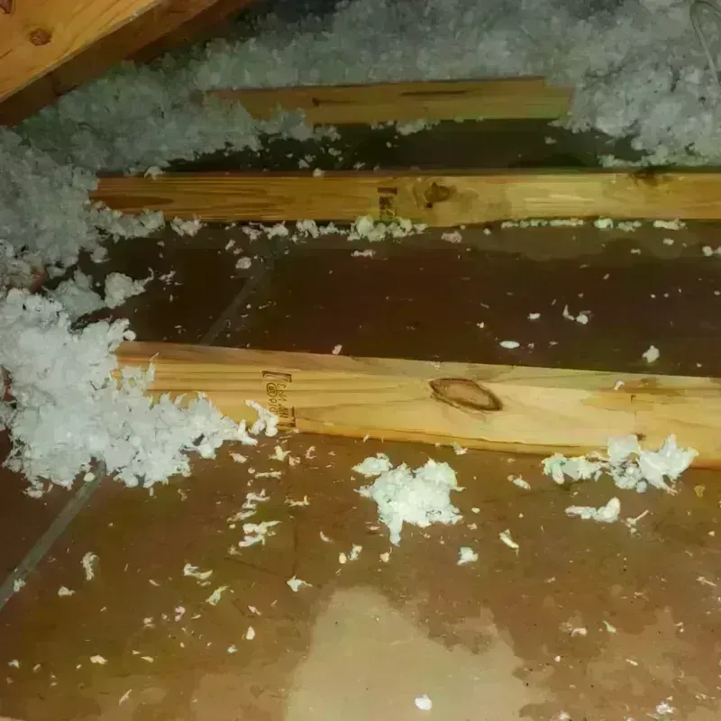 Attic Water Damage in Cadott, WI