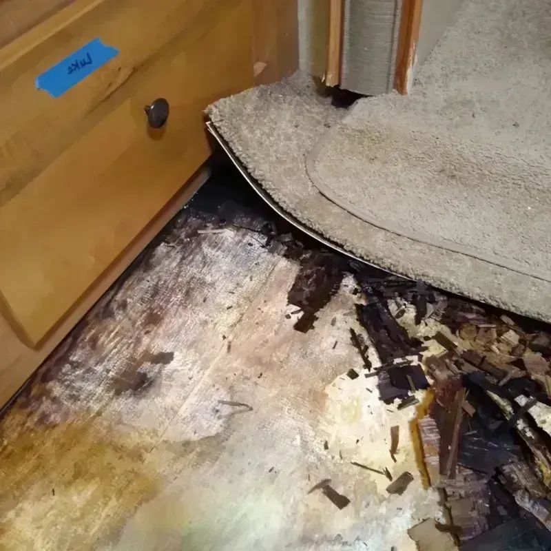 Wood Floor Water Damage in Cadott, WI